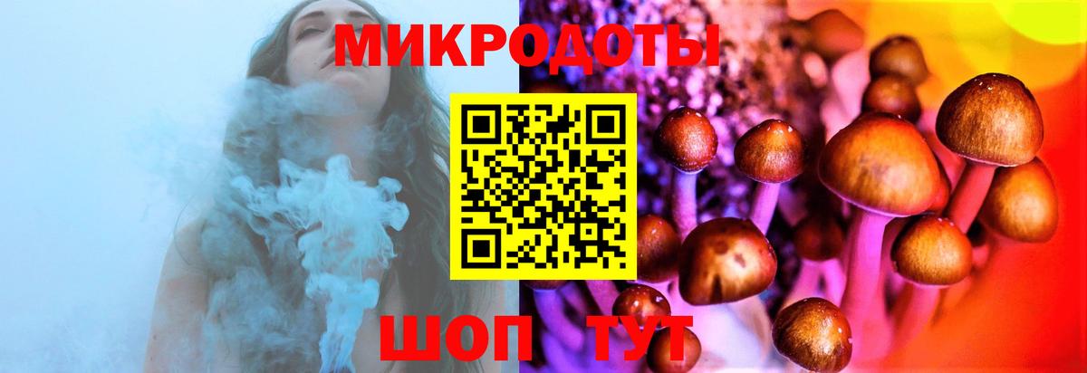Псилоцибиновые грибы мицелий Невинномысск