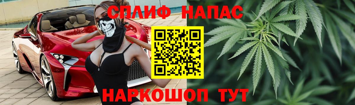 Шишки марихуана семена Невинномысск