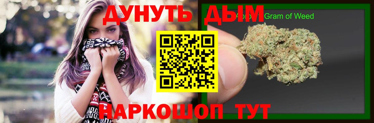 Канабис план  Марихуана сатива  Вход с VPN  Невинномысск 